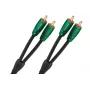 Межблочный кабель RCA AudioQuest Evergreen 2RCA-2RCA (1.5 м)